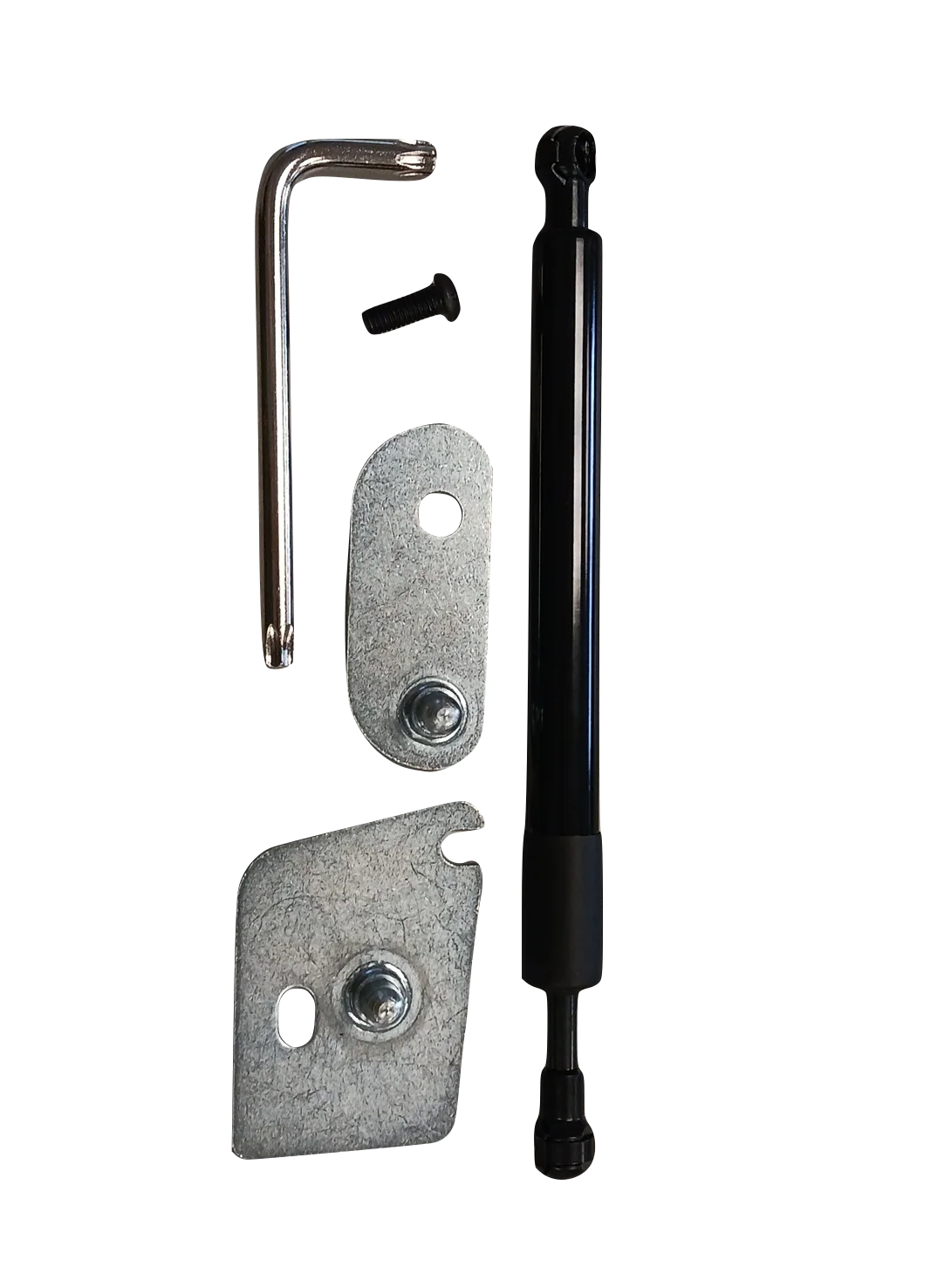 2015-2019 Ford F150 New Tailgate Damper Assist DZ43204