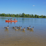 Lake at Laurel Creek Conservation Area